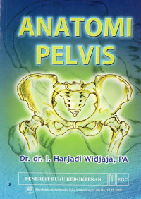 Image of Anatomi Pelvis